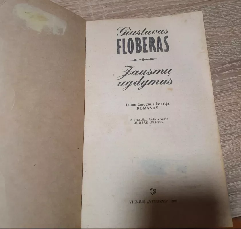 Jausmų ugdymas - Gustave Flaubert, knyga 3