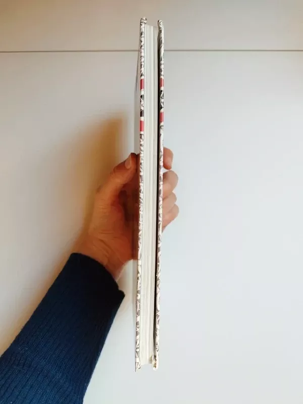 Ežeras ant milžino delno - Norbertas Vėlius, knyga 5