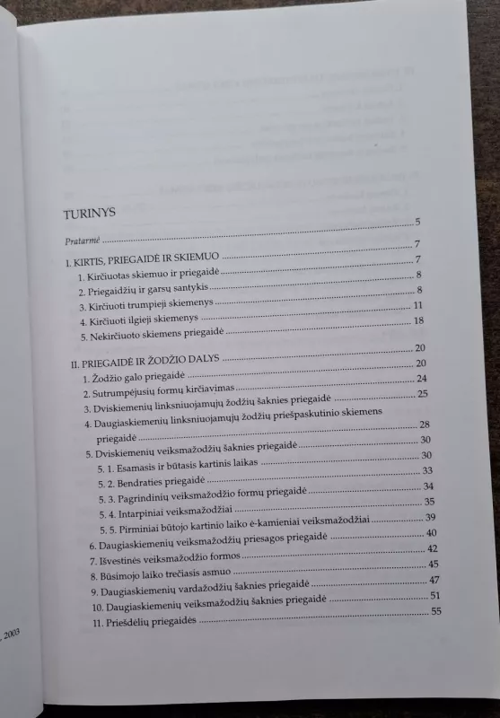 Lietuvių bendrinės kalbos kirčiavimo pagrindai - P. Bernadišienė, knyga 5