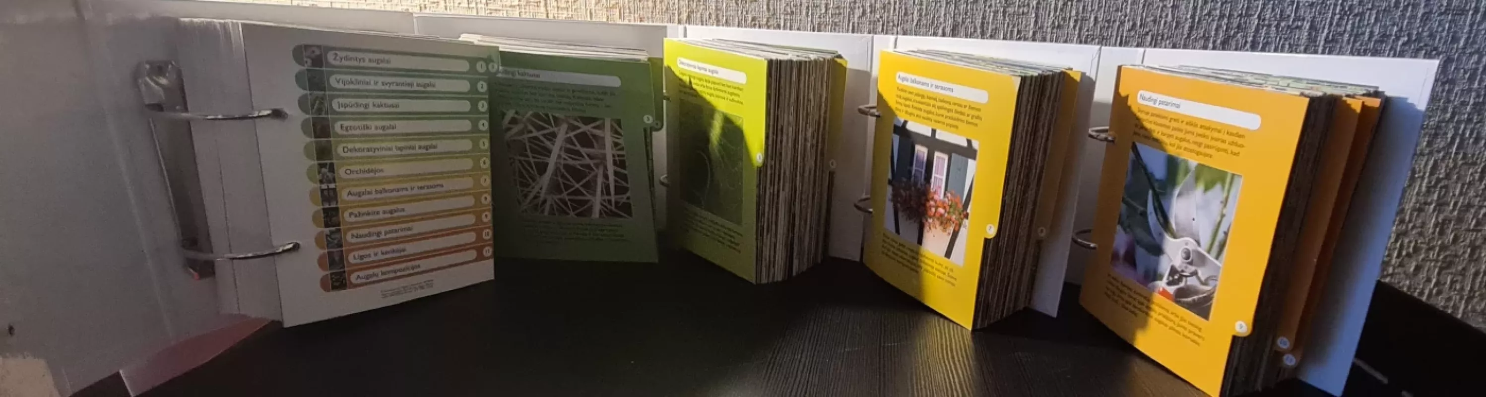 Namai, pilni gėlių. Kambarinių augalų žinynas - International Masters Publishers AB MMX, knyga 4