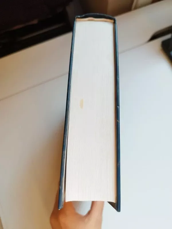 Lietuvos priešistorės gintaras - Audronė Bliujienė, knyga 6