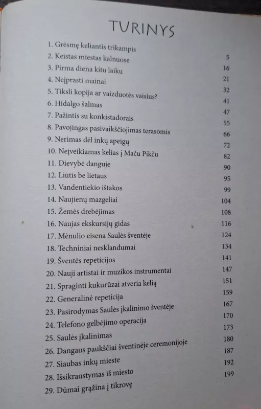 Mergiotė ir įkalinta saulė (skaityta knyga) - Domas Austis, knyga 4