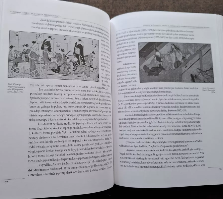 Estetikos ir meno filosofijos teritorijų kaita (skaityta knyga) - Antanas Andrijauskas, knyga 5