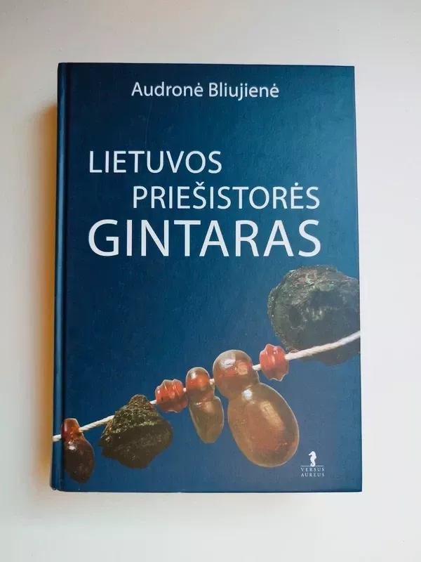 Lietuvos priešistorės gintaras - Audronė Bliujienė, knyga 2
