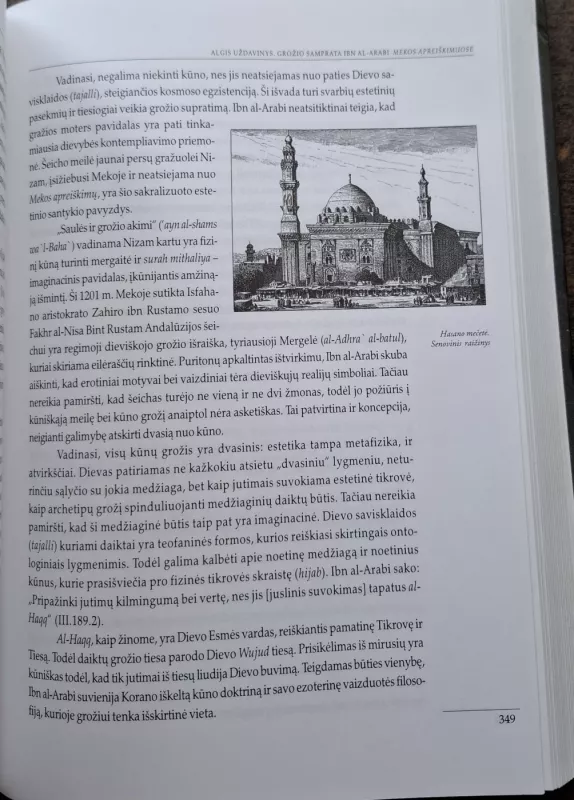 Estetikos ir meno filosofijos teritorijų kaita (skaityta knyga) - Antanas Andrijauskas, knyga 6