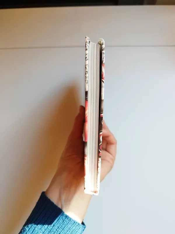 Ežeras ant milžino delno - Norbertas Vėlius, knyga 6