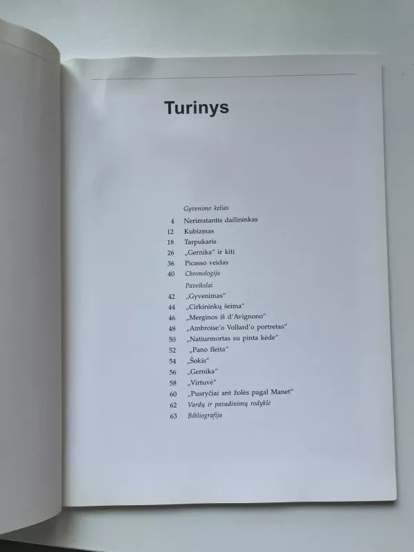 Picasso - Francesco Galluzzi, knyga 4