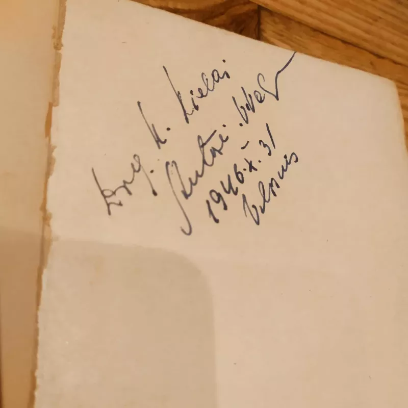 Daina apie Marytę Melnikaitę - Valerija Valsiūnienė, knyga 3