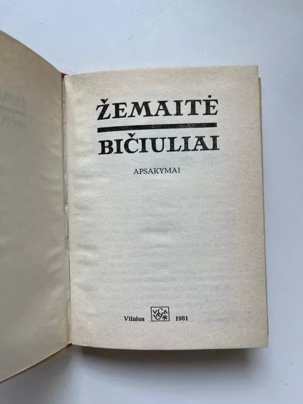 Bičiuliai - Žemaitė, knyga 3