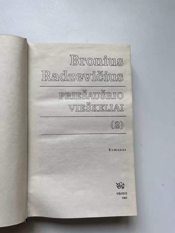 Priešaušrio vieškeliai (2 dalis) - Bronius Radzevičius, knyga 3