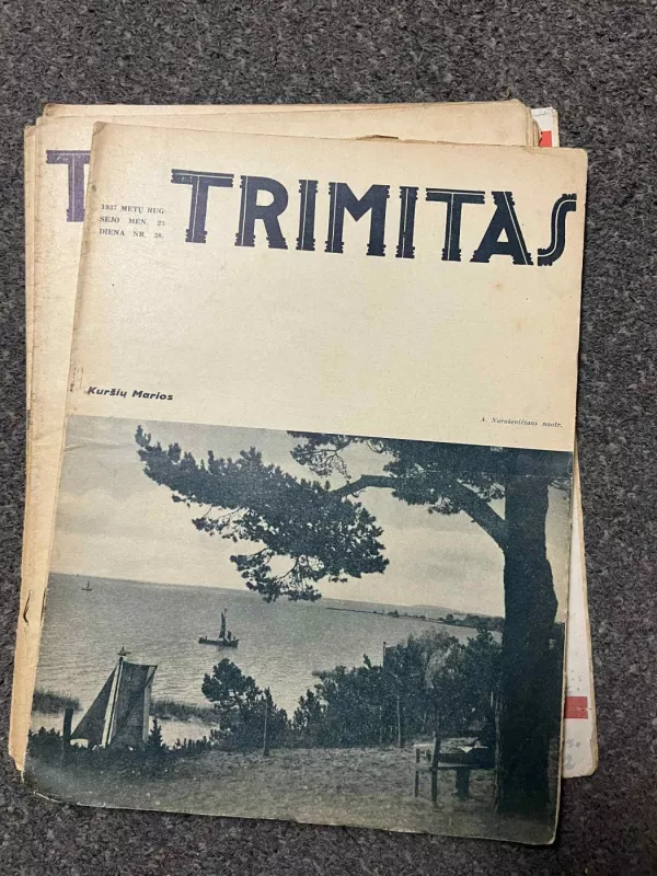 TRIMITAS 1937 m. 22 numeriai - Autorių kolektyvas (įvairūs), knyga 6