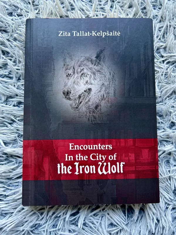 Susitikimai Geležinio Vilko mieste - Zita Tallat-Kelpšaitė, knyga 2