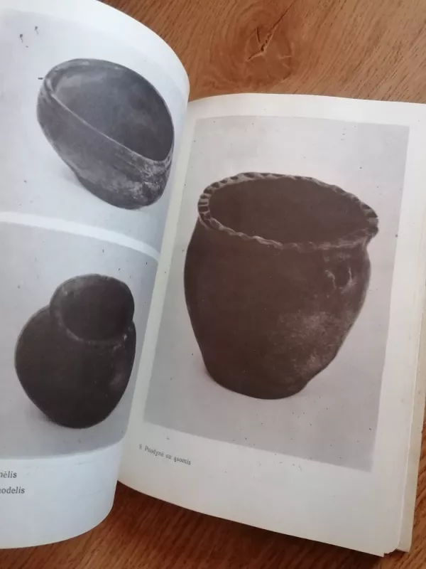 Dailioji keramika Lietuvoje - Jonas Bubnys, Vincas  Jasiukevičius, knyga 4