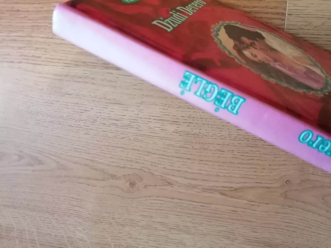 Bėglė - Džudi Devero, knyga 5