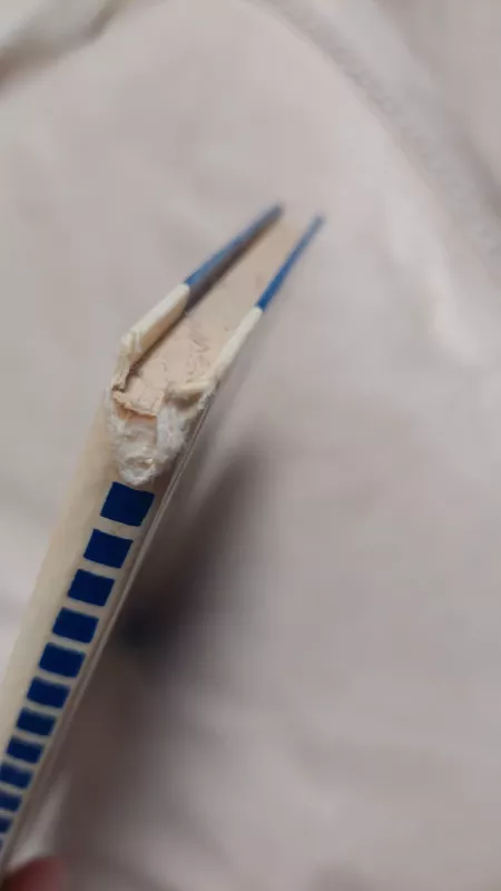 Šaktarpis - Ernstas Vichertas, knyga 3