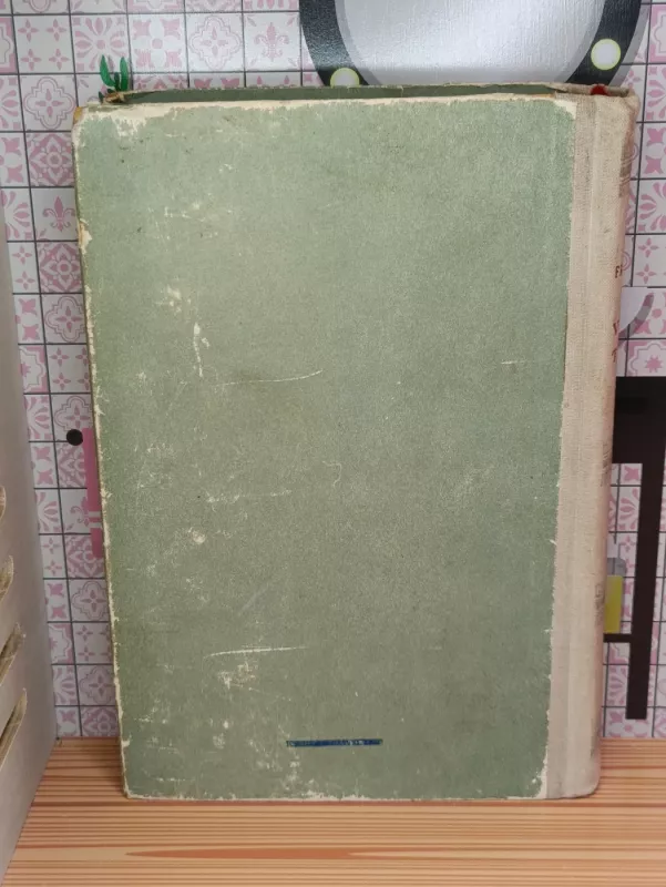 Vilius Telis - Fridrichas Šileris, knyga 3