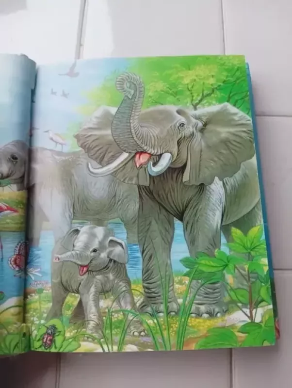 Apie gyvūnus. Mažųjų skaitiniai - Alfonsas Zdanavičius, knyga 3