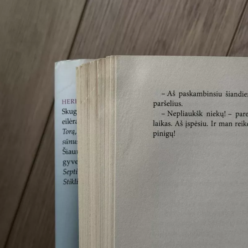 Tora. Namas su akla stiklo veranda - Herbjørg Wassmo, knyga 6