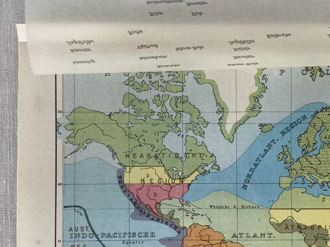 Pasaulio geografijos žemėlapis 1932m. antikvarinė spalvota litografija Meyers Lexikon - , namai ir interjeras 5