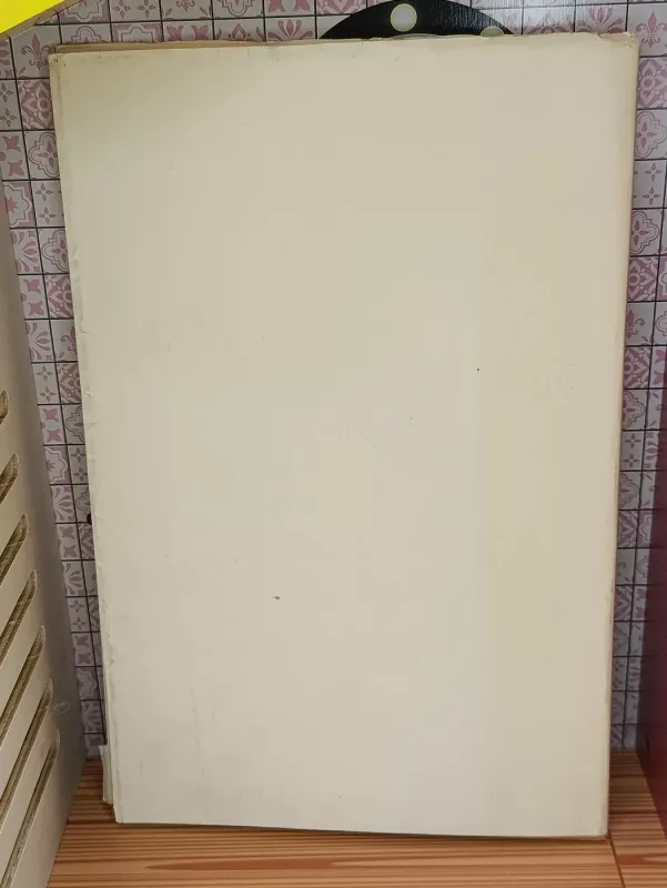 Pažinimo medis - Justinas Marcinkevičius, knyga 4