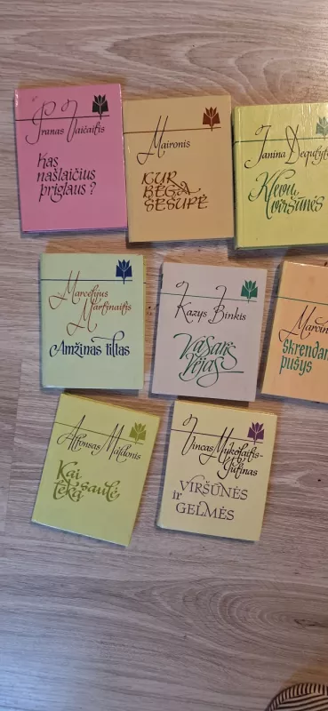 Amžinas tiltas - Marcelijus Martinaitis, knyga 3