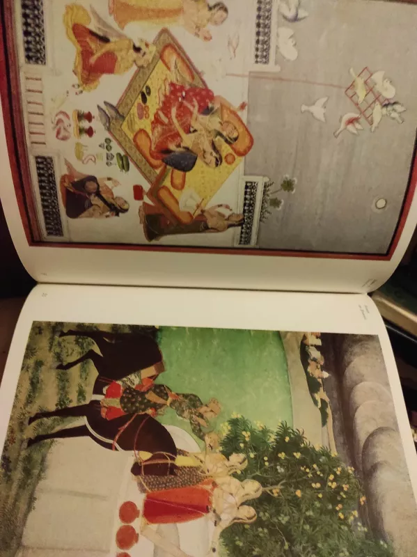 Die Schönheit der Frau in der europäischen Malerei - Eckardt Gotz, knyga 6