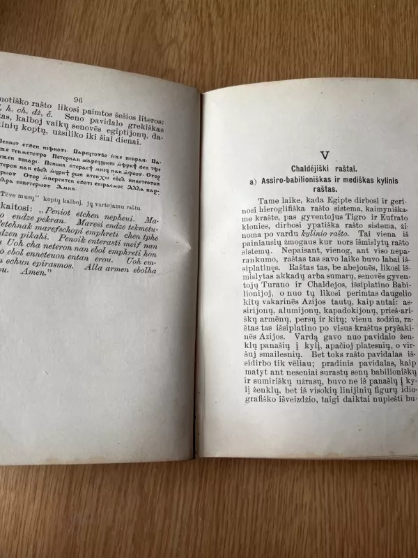 Rašto istorija - Šernas, knyga 4