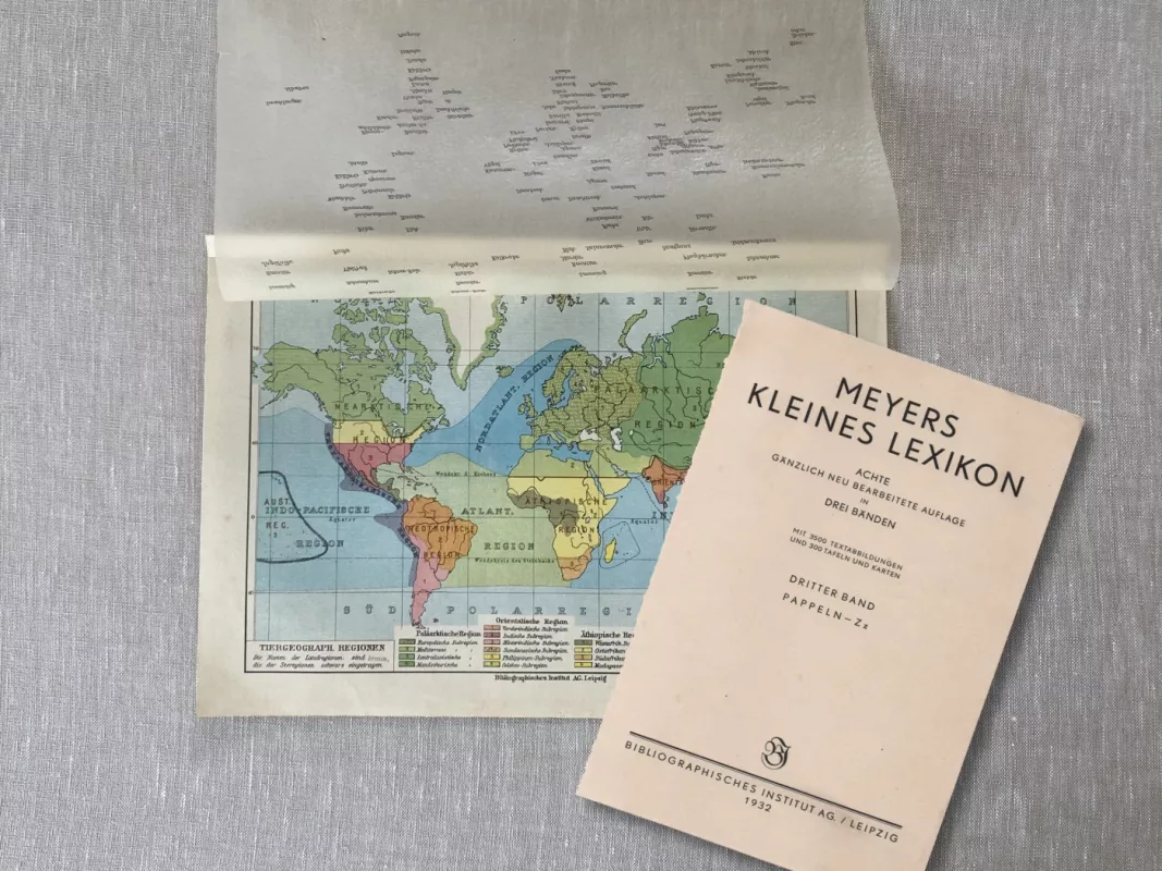 Pasaulio geografijos žemėlapis 1932m. antikvarinė spalvota litografija Meyers Lexikon - , namai ir interjeras 4