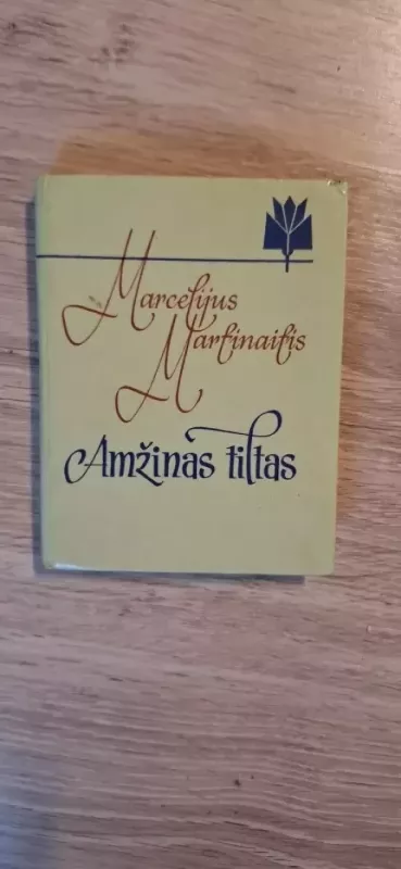 Amžinas tiltas - Marcelijus Martinaitis, knyga 2
