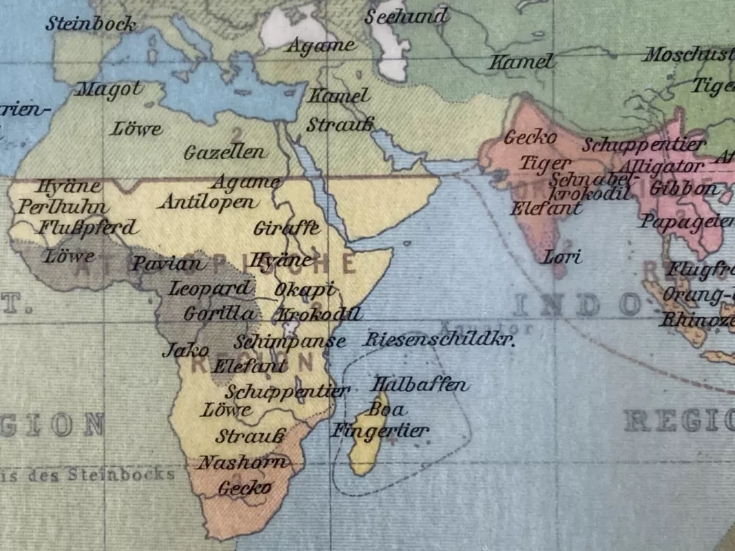 Pasaulio geografijos žemėlapis 1932m. antikvarinė spalvota litografija Meyers Lexikon - , namai ir interjeras 6
