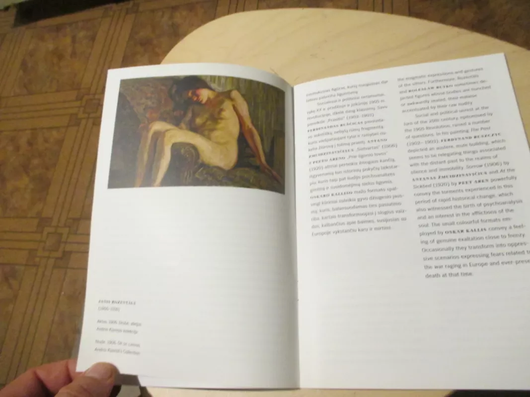 Laukinės sielos - Autorių kolektvas, knyga 4