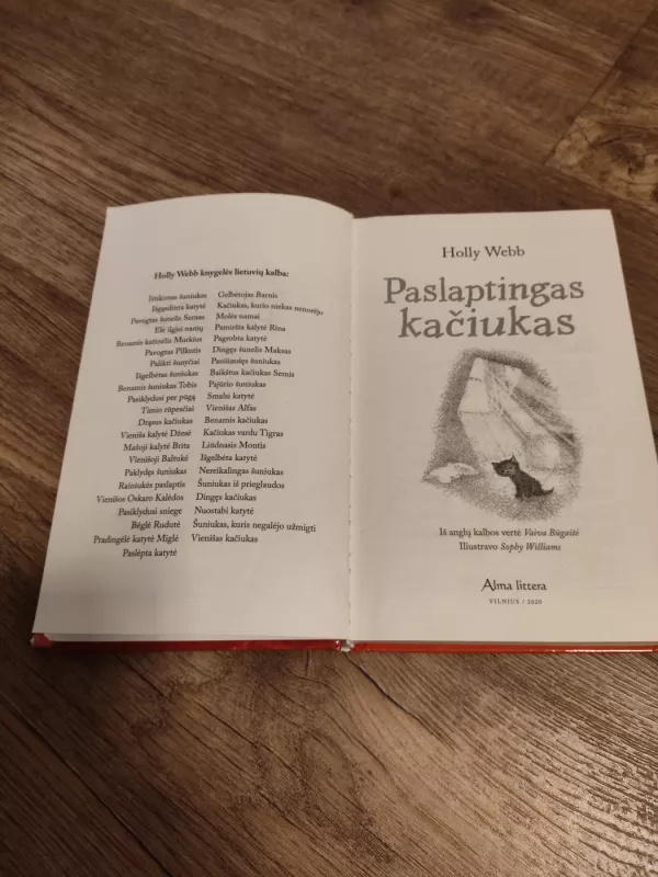 Paslaptingas kačiukas - Holly Webb, knyga 4