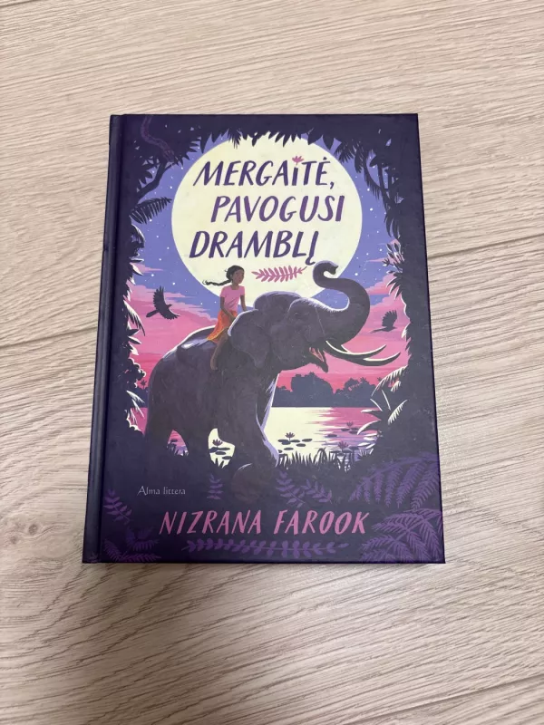 ,,Mergaitė, pavogusi dramblį” - Nizrana Farook, knyga 2