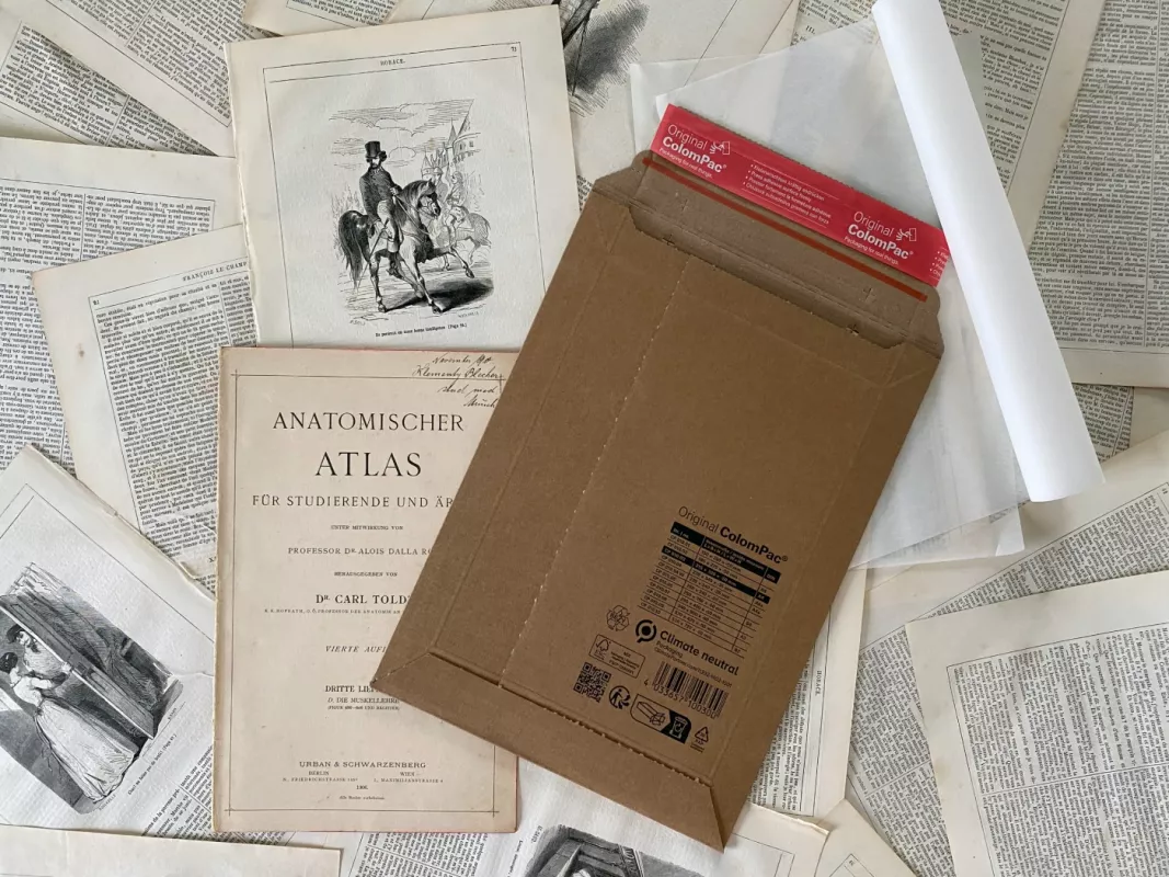 Žmogaus anatomija dilbio raumenys 1908m. sena litografija iš Anatomischer Atlas - , namai ir interjeras 6