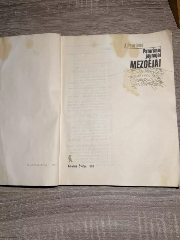 Patarimai jaunajai mezgėjai - A. Paurienė, knyga 4