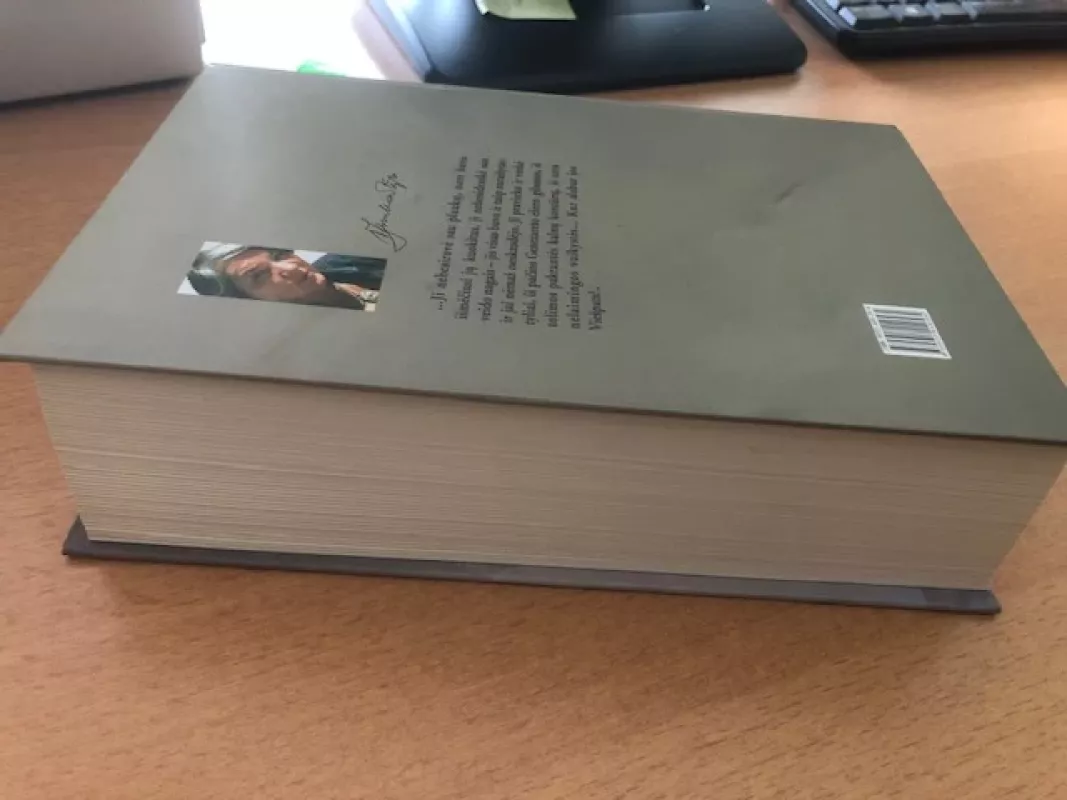 Dievas miršta vienišas - Vidmantė Jasukaitytė, knyga 5