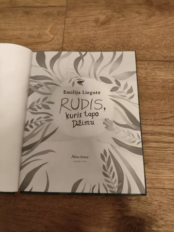 Rudis, kuris tapo Džimu - Emilija Liegutė, knyga 3