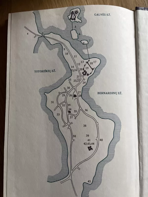 Trakų miestas ir pilys - A. Baliulis, S.  Mikulionis, A.  Miškinis, knyga 4