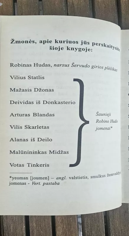 Robino Hudo nuotykiai. Iliustruota didžioji klasika - Howardas Pailas, knyga 4