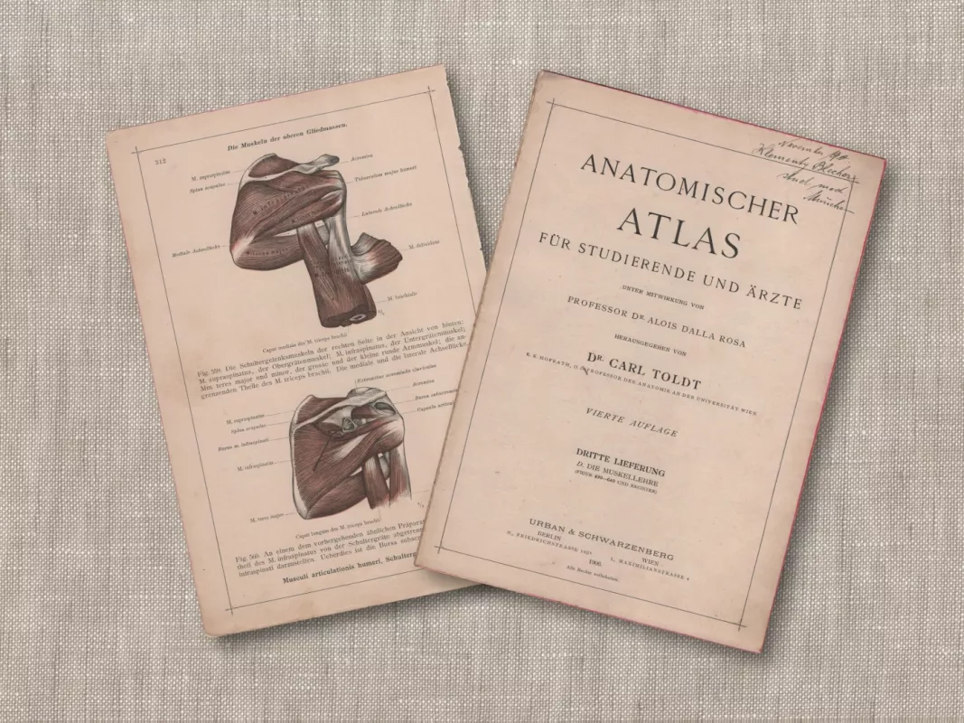 Spalvota litografija Žmogaus Anatomijos Peties sąnario raumenys 1908m. iš albumo Anatomischer Atlas - , namai ir interjeras 4