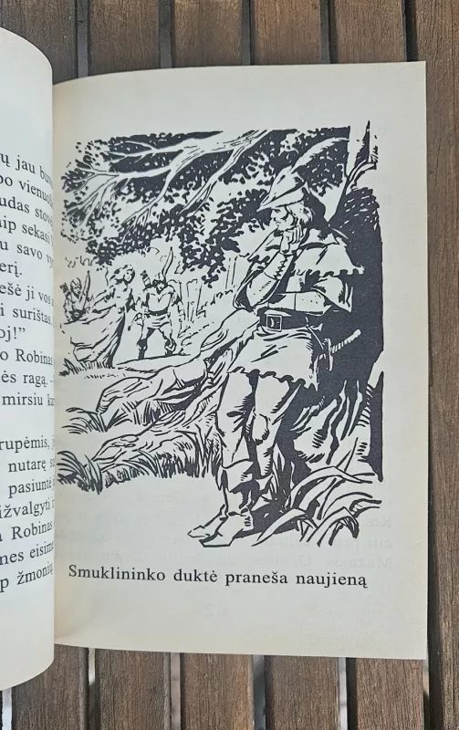 Robino Hudo nuotykiai. Iliustruota didžioji klasika - Howardas Pailas, knyga 6