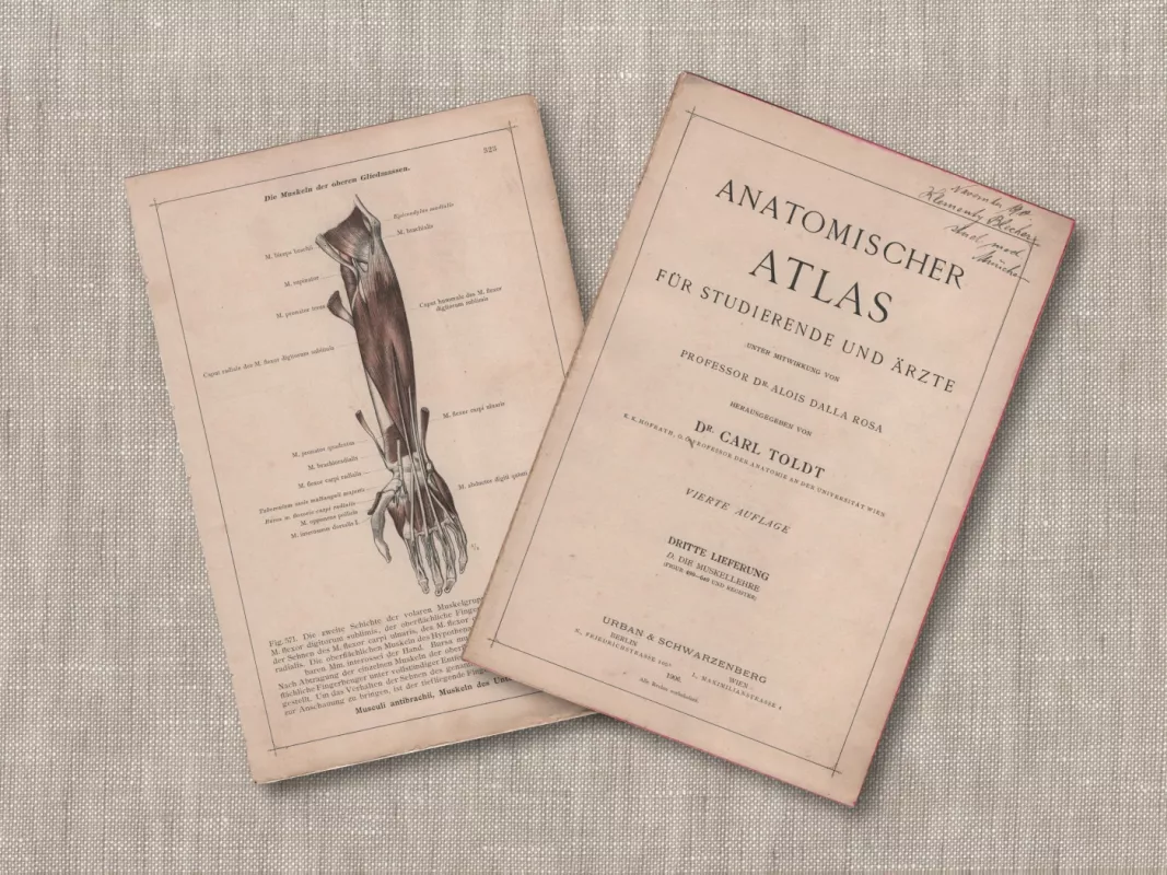 Žmogaus anatomija dilbio raumenys 1908m. autentiška litografija iš Anatomischer Atlas - , namai ir interjeras 4