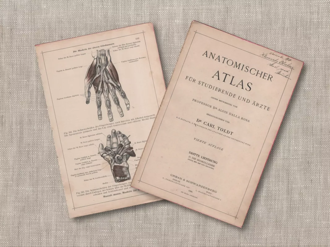 Žmogaus anatomija rankos raumenys 1908m. autentiška litografija iš Anatomischer Atlas - , namai ir interjeras 4
