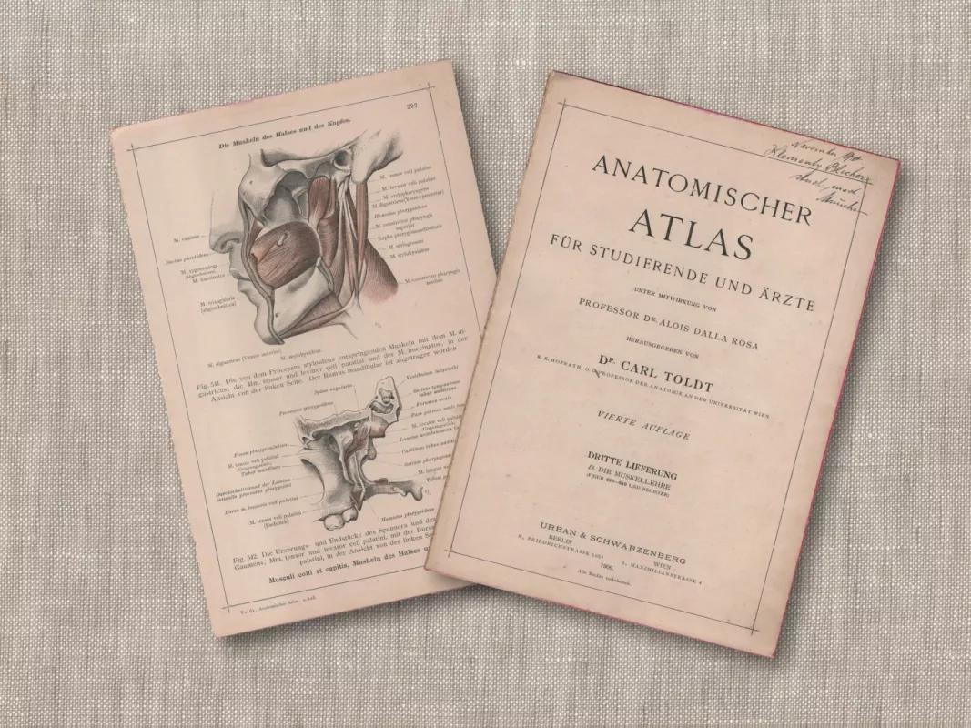 Litografija Žmogaus galvos ir kaklo raumenys 1908m. iš Anatomischer Atlas albumo - Dr. Carl Told, knyga 4