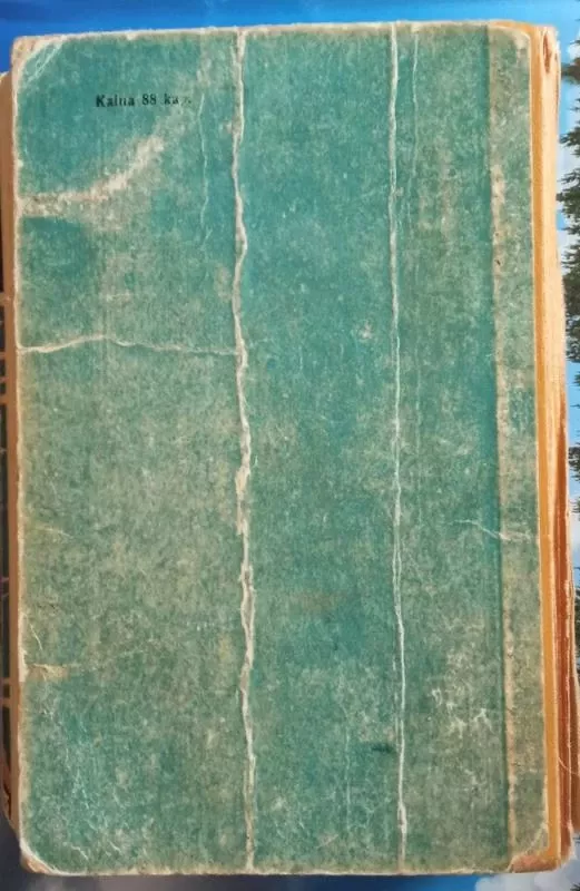 Grafas Montekristas (I tomas) - Aleksandras Diuma, knyga 6