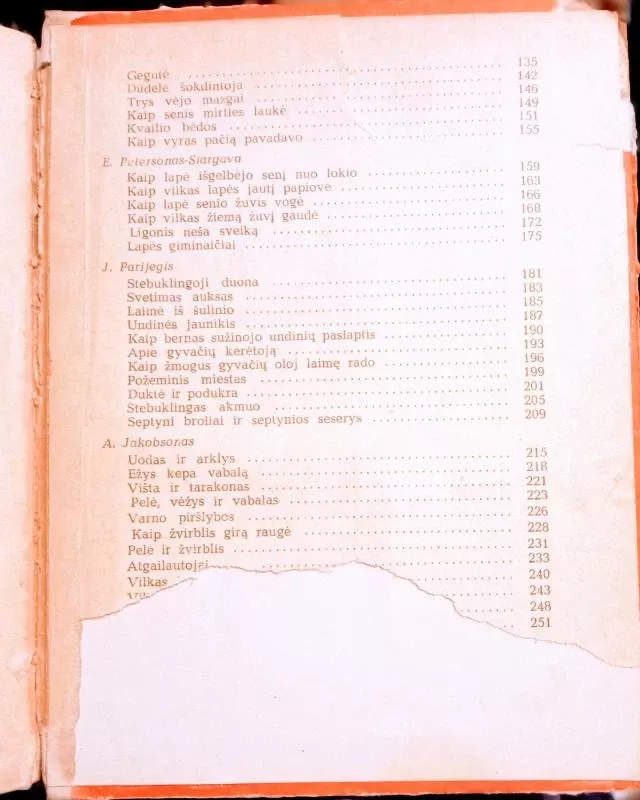 Gražuolė nuotaka - Autorių Kolektyvas, knyga 5