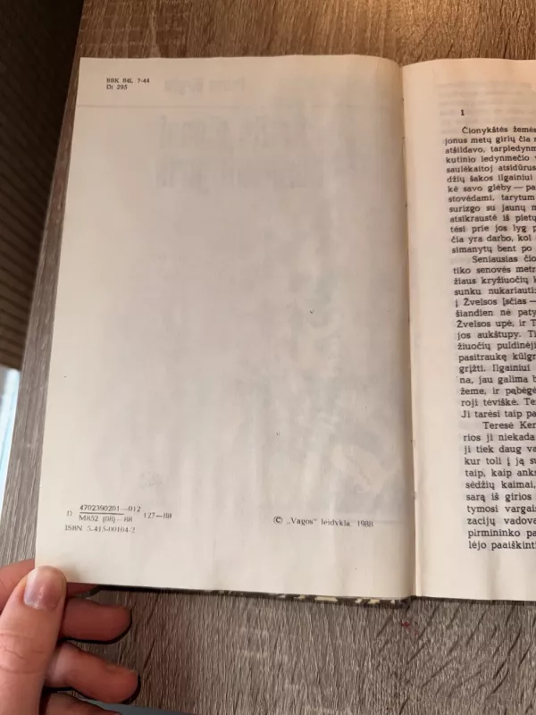 Amžių dienai dūzgianti giria - Petras Dirgėla, knyga 6