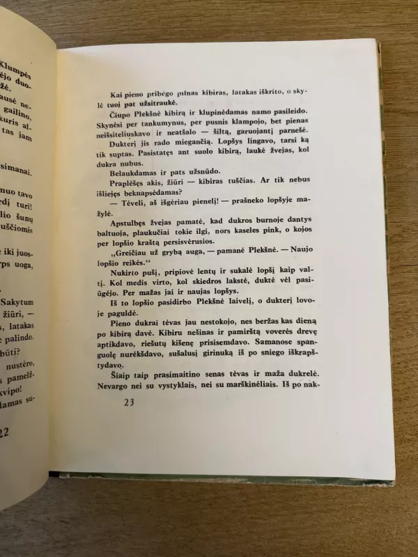 Milžinai nenorėjo karaliais būti - Mykolas Sluckis, knyga 5