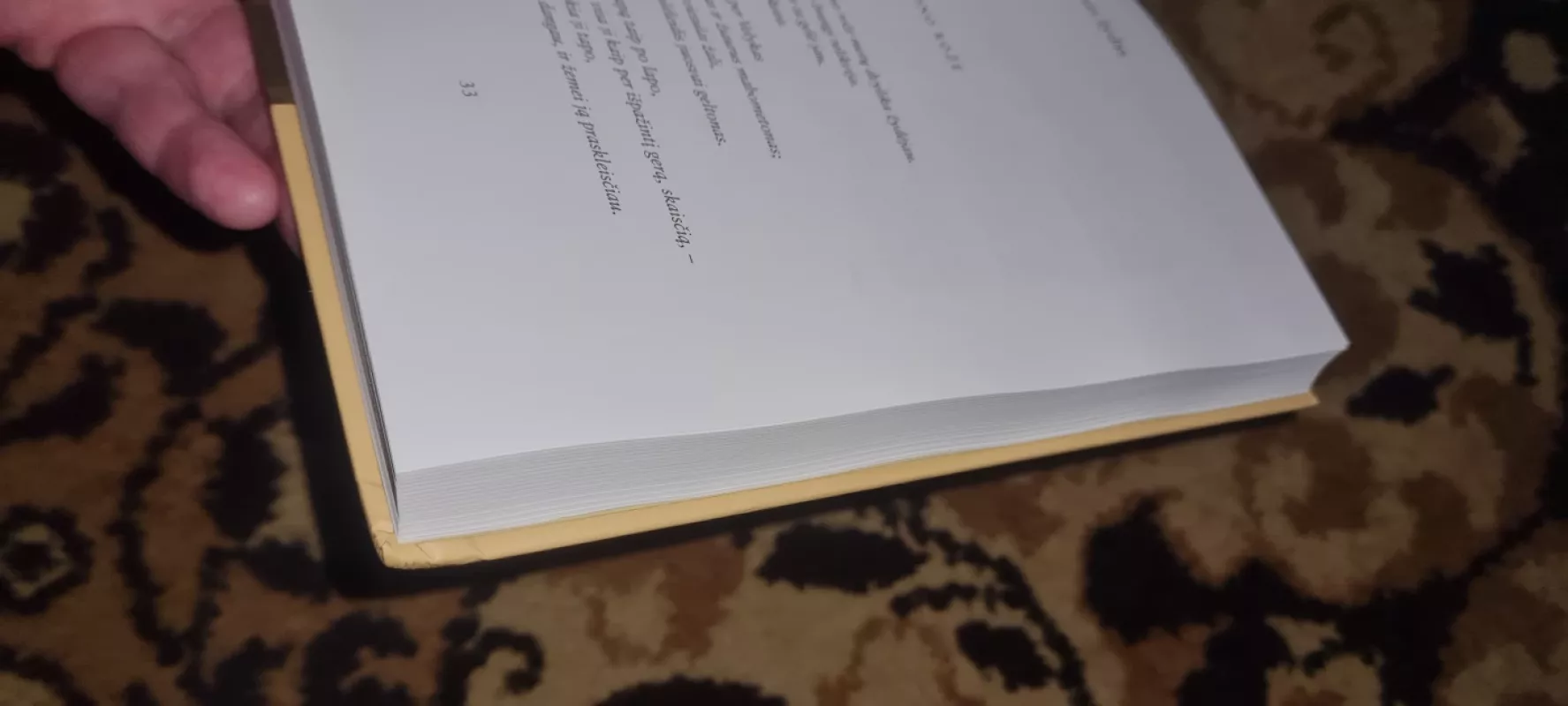 Protėvių dvasia - Bernardas Brazdžionis, knyga 3