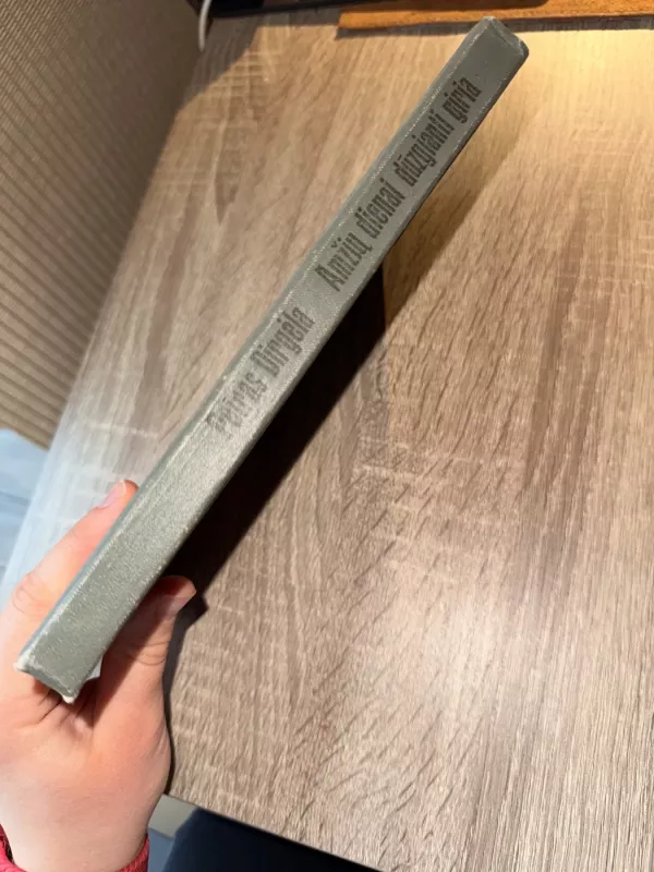 Amžių dienai dūzgianti giria - Petras Dirgėla, knyga 4